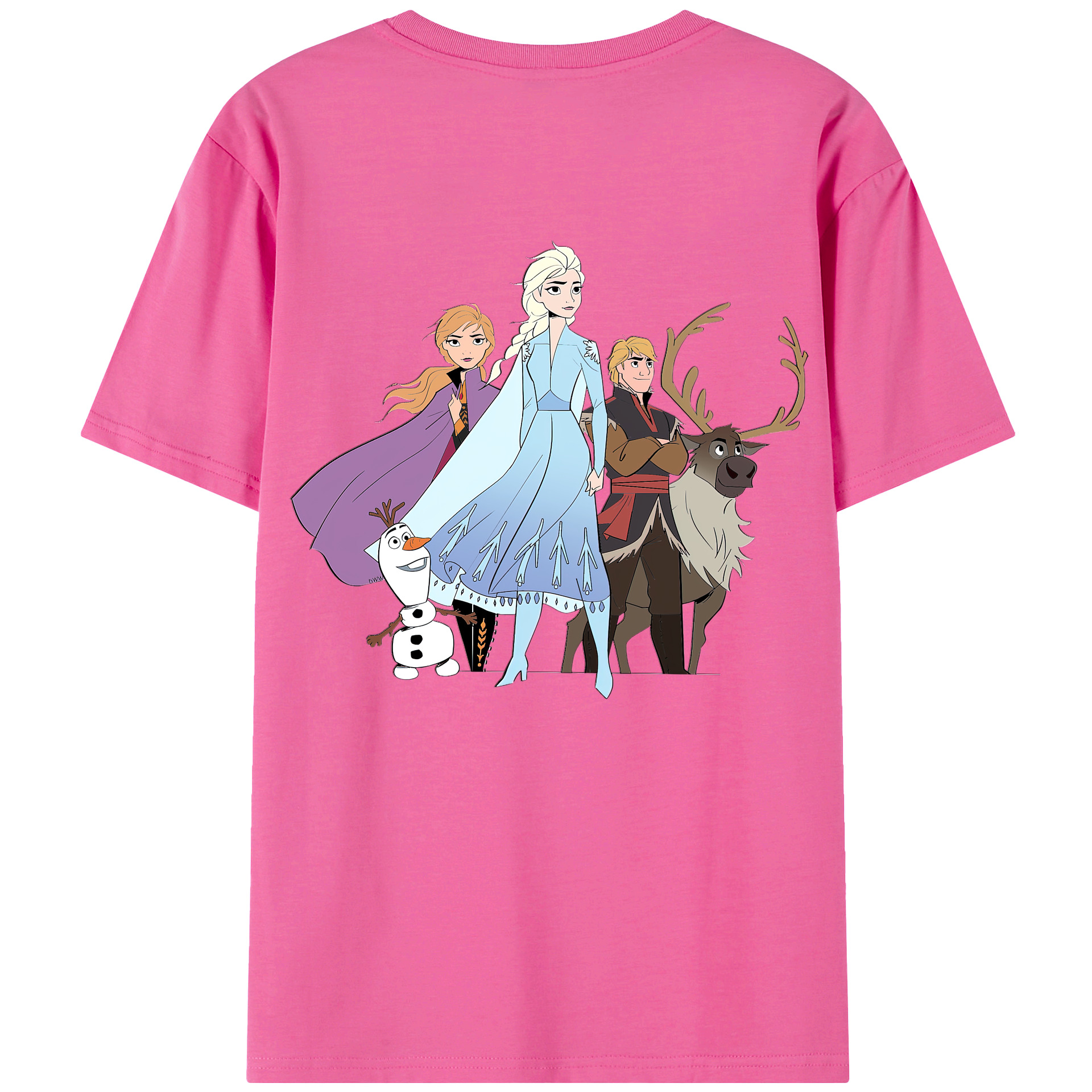 （画像用） アナと雪の女王 アンナ エルサ Frozen Anna Elsa レディース半袖Tシャツ(バックプリント)